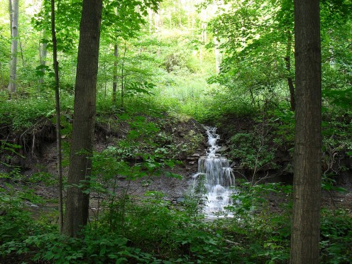 James Falls - City of Waterfalls